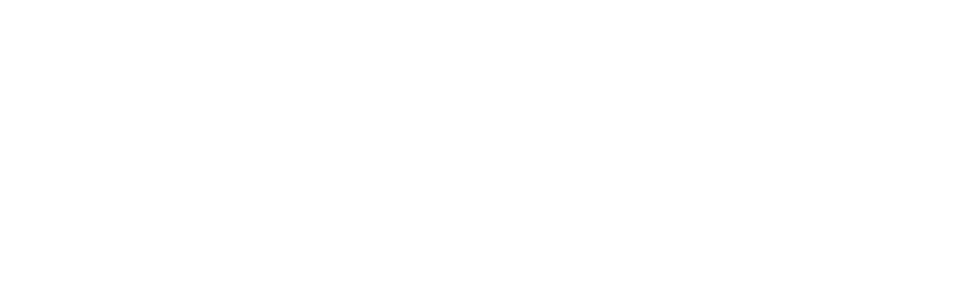 Logo Anhembi Mudanças